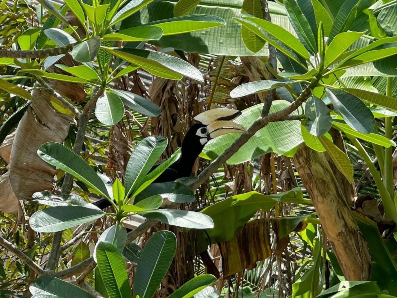 Vila Chun Chom - Baan Lom Suay Ko Yao Noi Exteriér fotografie